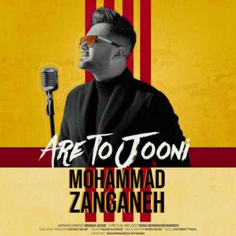 دانلود آهنگ محمد زنگنه آره تو جونی 1 Mohammad Zanganeh Are To Jooni